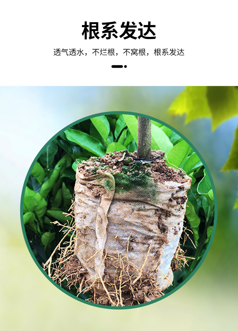 育苗块播种器_06