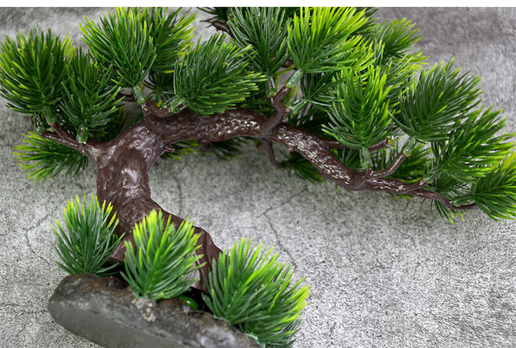 8e887c29-09d2-44fe-a017-c59ae39442ee.jpe