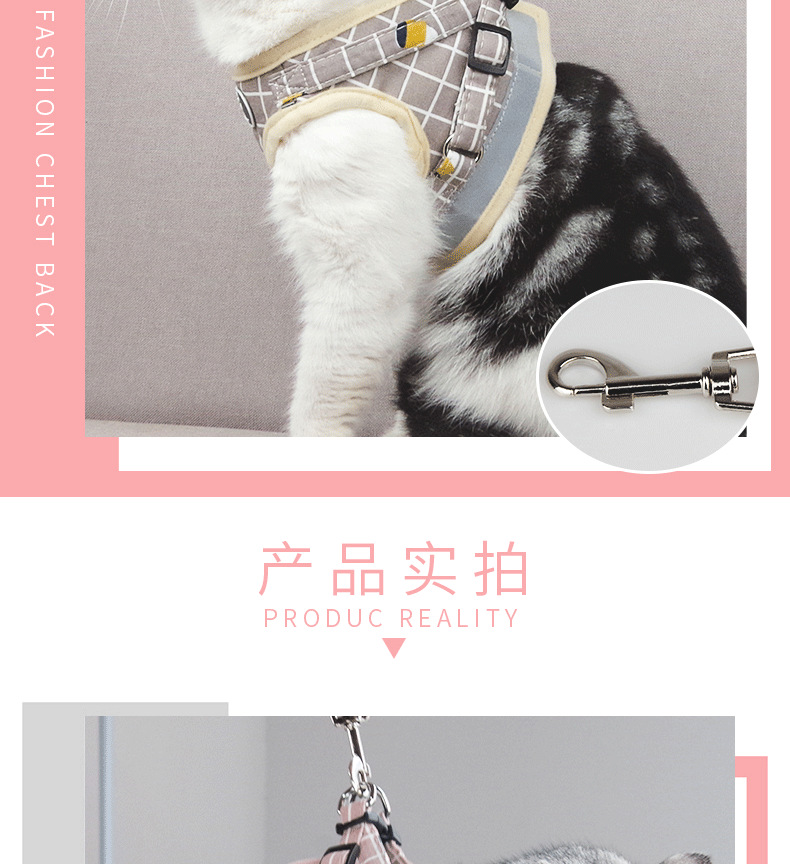 0ea19f50-dbc7-45a3-b8a1-78735b9cd085.png
