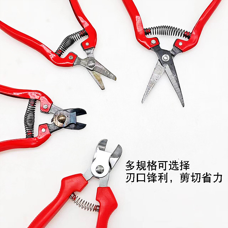 详情5.jpg