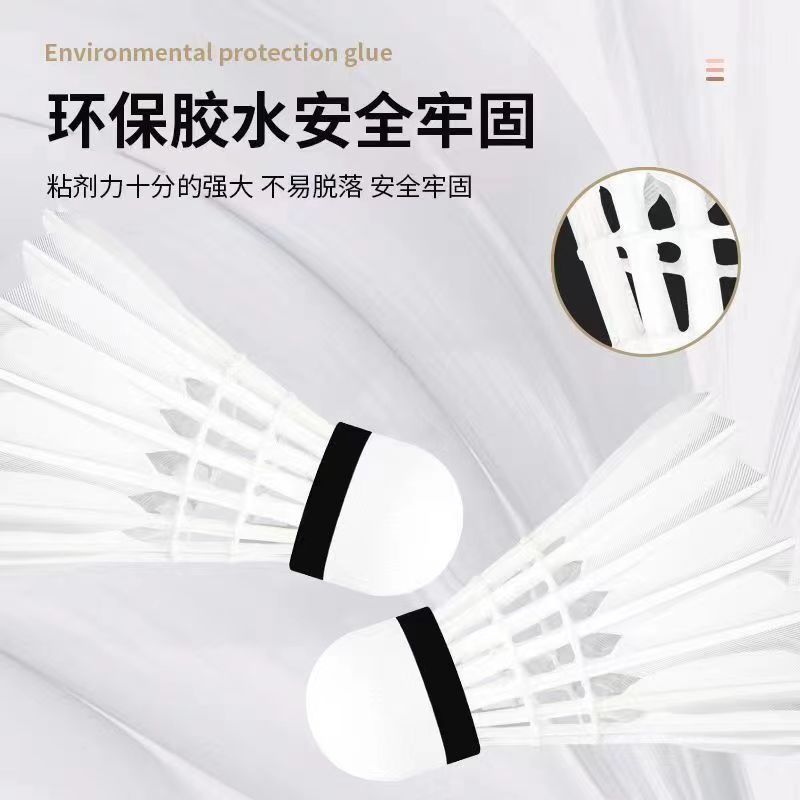ff2e51c1-6a50-4653-8c31-3a92df1e7f95.jpe