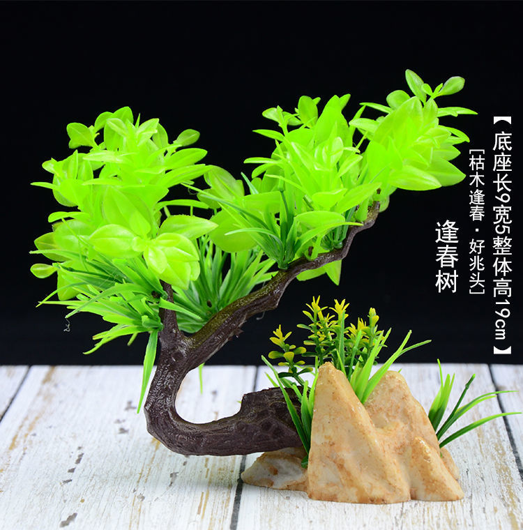 ff9da15a-97c9-496a-b9be-cd3c36933228.jpe