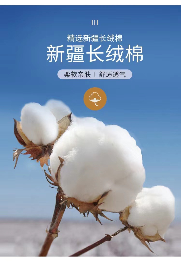 微信图片_20250208212107