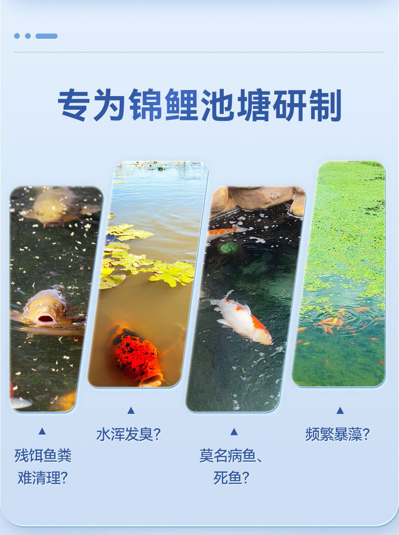 详情_02.jpg
