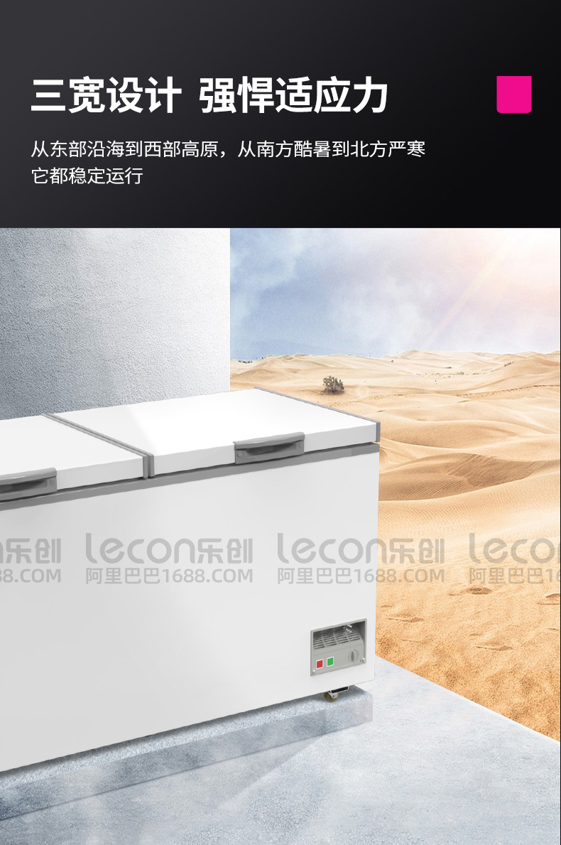 鑫福德卧式冰柜_13