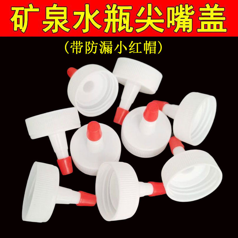 730736561568m9372e318-fc28-45e