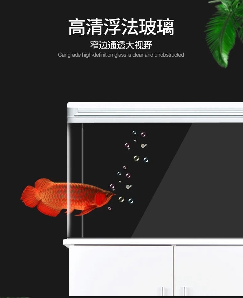 e406d63c-c6da-466d-a473-acf2e4ec6edf.jpe