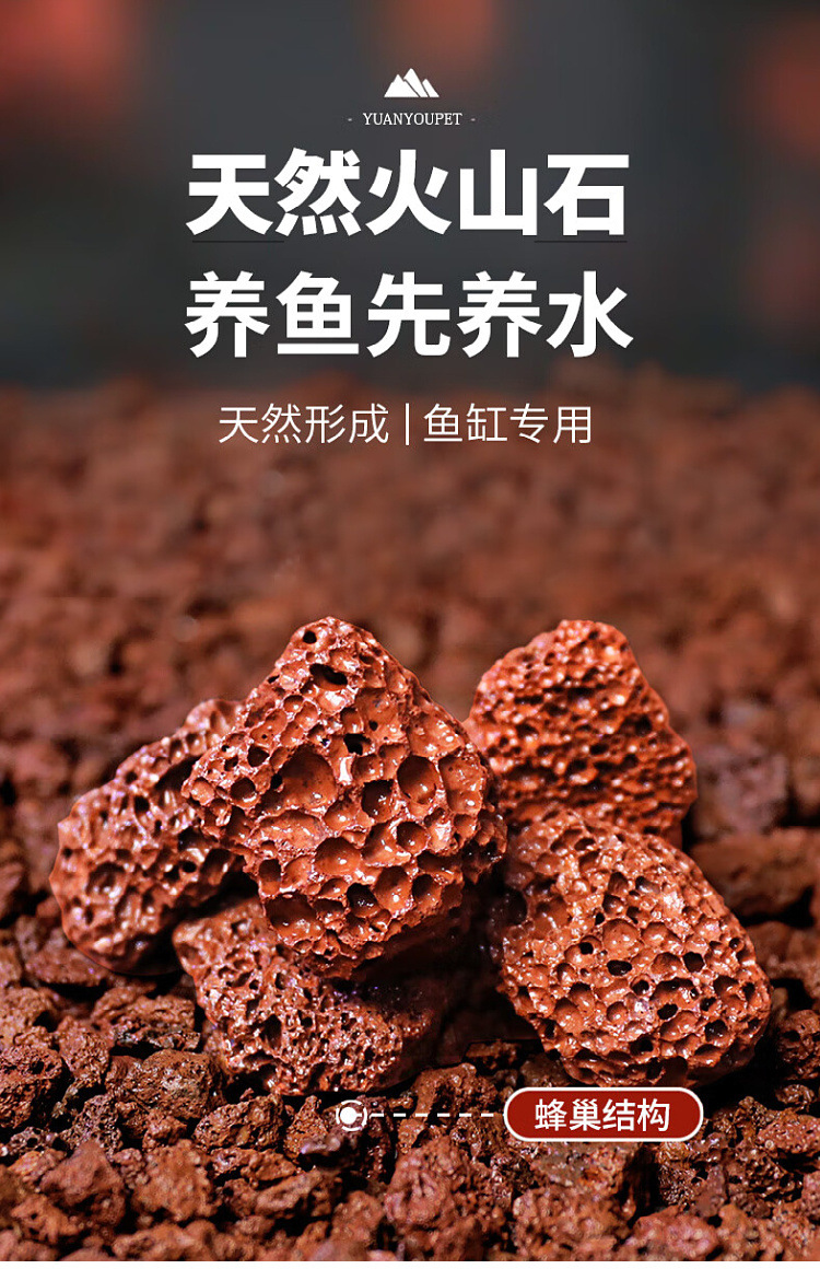 75cf1c9b-f66c-49da-bb8e-51e4b41694d8.jpe