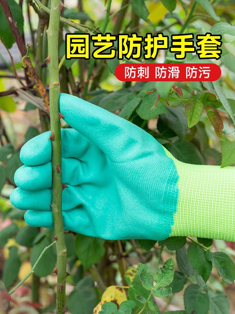 tb_image_share_1694572005320