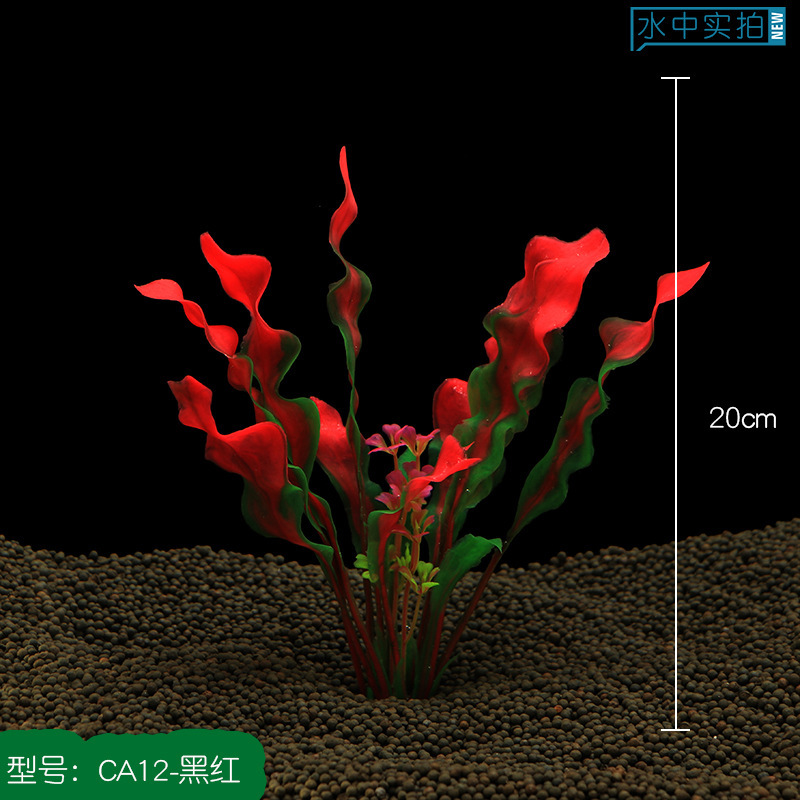 CA12-N黑红