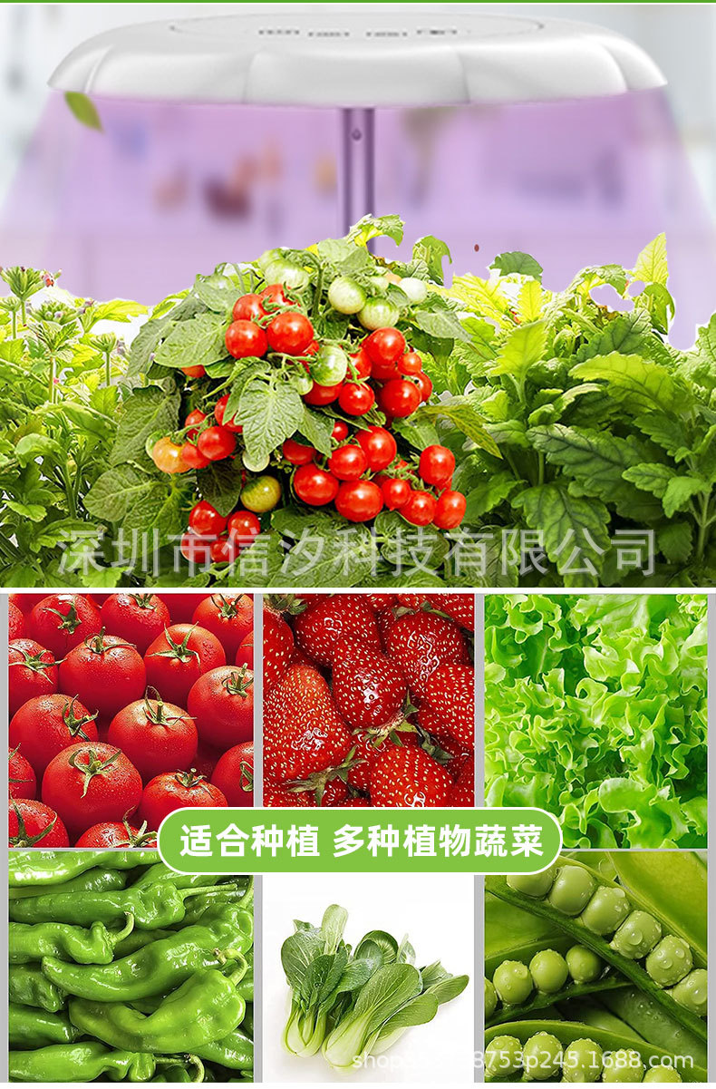 花瓣植物机详情_04