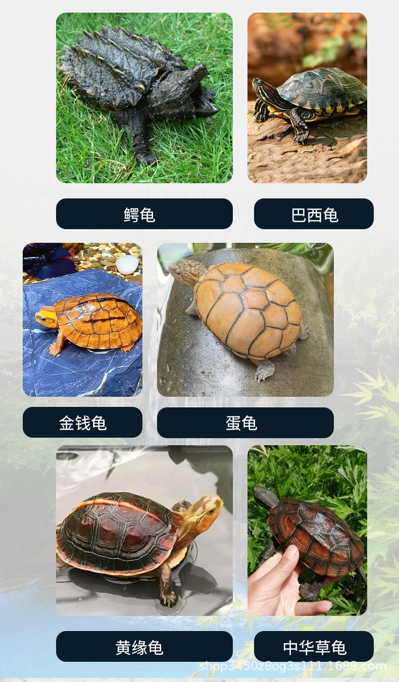 63乌龟缸---铁盖_03.png