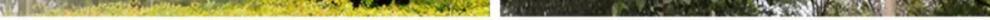 507db587-be9f-45d1-9762-9a6a9b78fc21.jpe