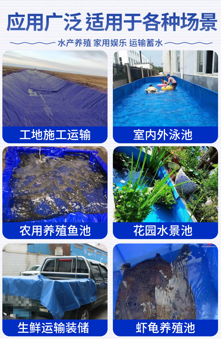 鱼池_03.jpg