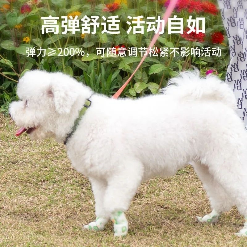 878c9712-7674-426f-8807-3a85a5b088a4.jpe