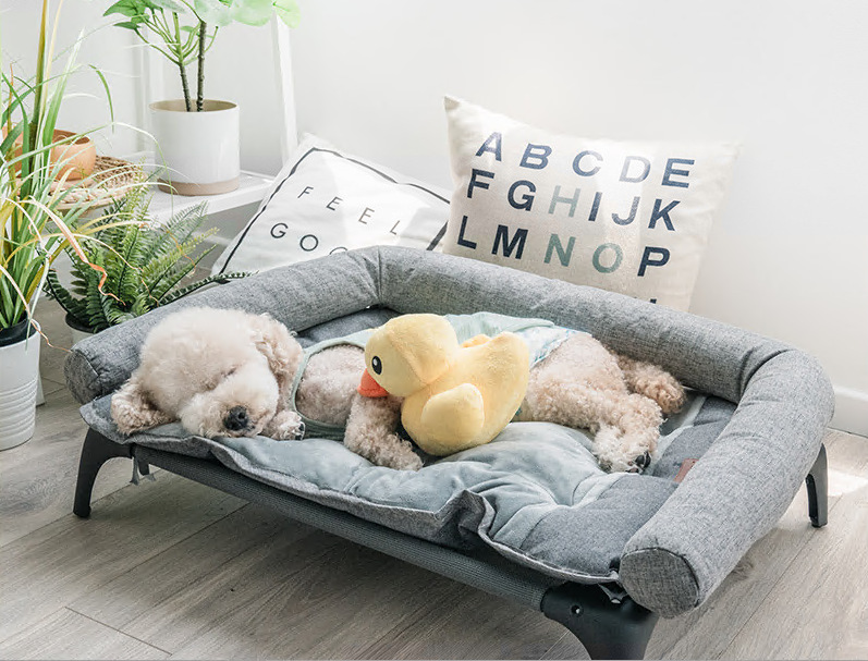 截图20240311161211