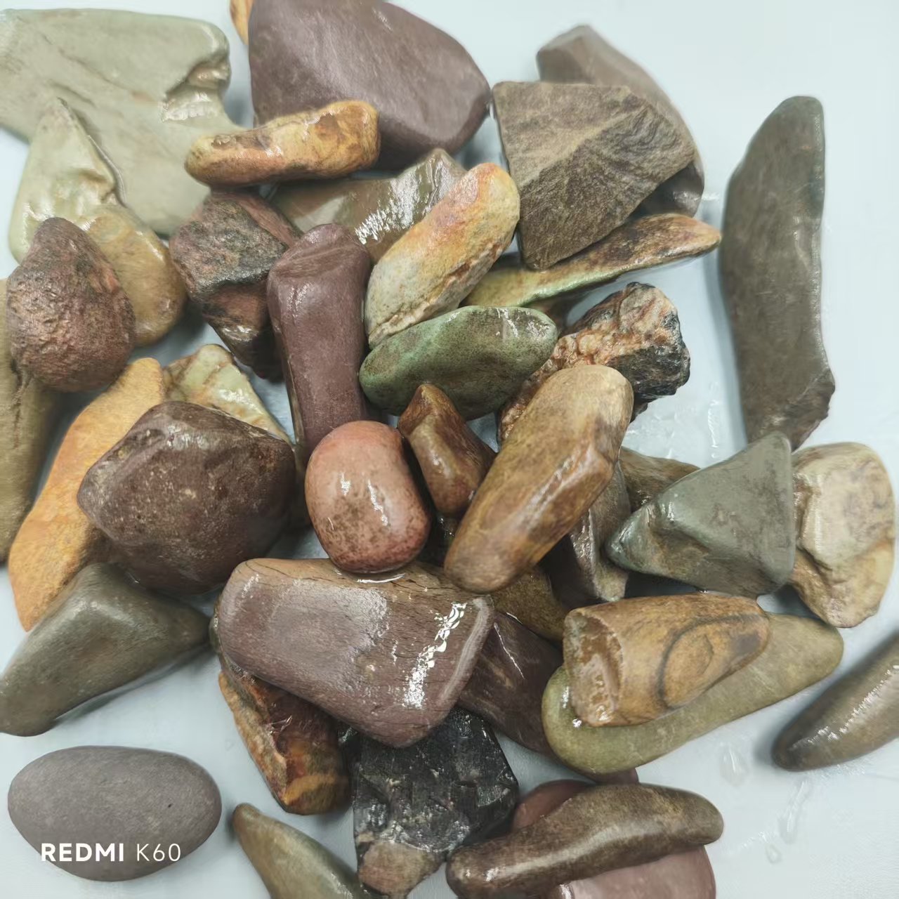 2dae717f70af99ebcce487cf0a4d53