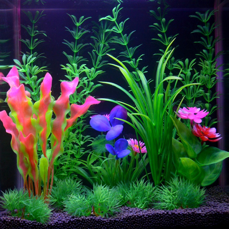 O1CN01IgRART1KVu5uWsJi5_!!1035