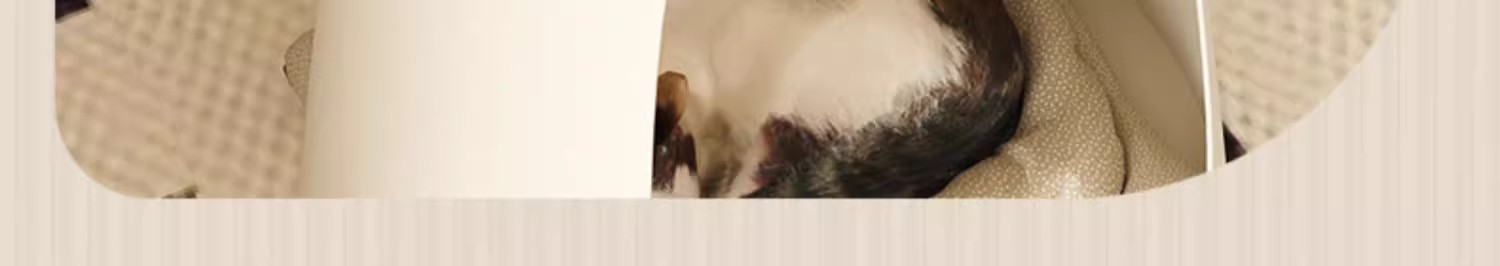 format,png