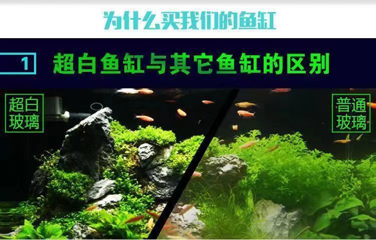 236f539b-6adc-4230-897a-9f412bd416bf.jpe