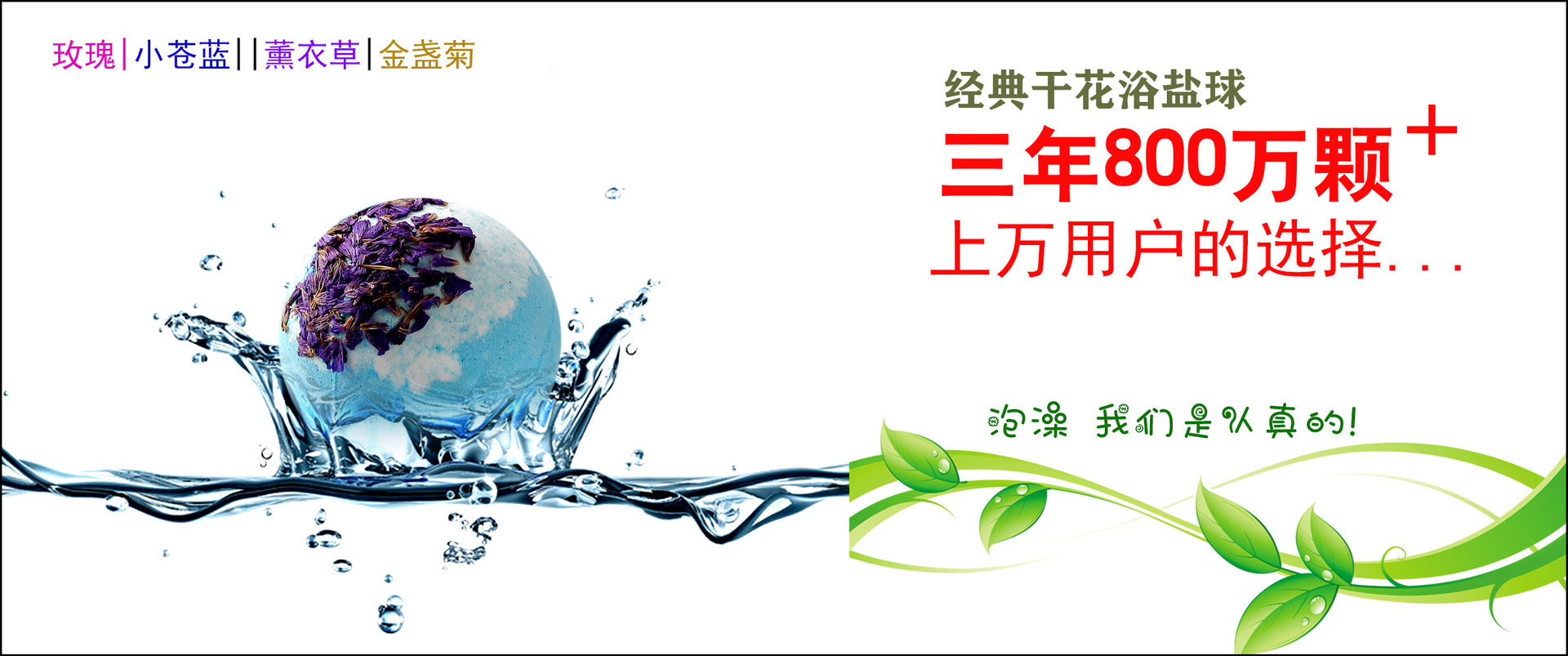 干花广告.jpg