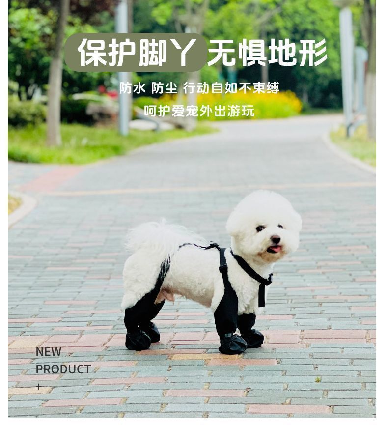 7519f6b4-5278-4c14-af4f-d1961f605e95.jpe