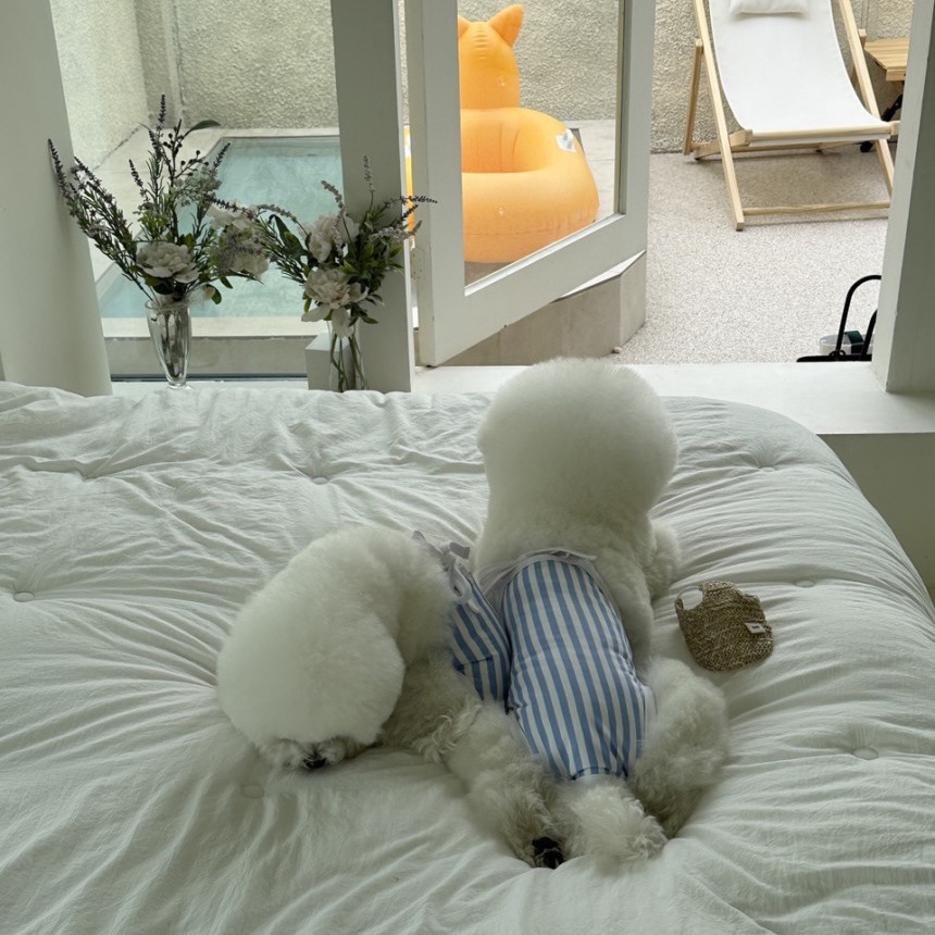 微信图片_20230530161758