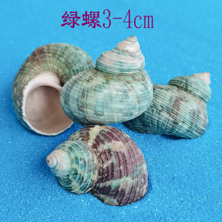 MTXX_2022121711134207447