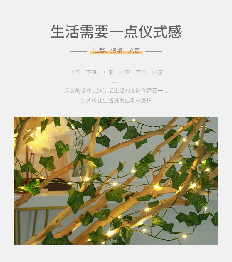 临海市万紫虹灯饰有限公司-1_04