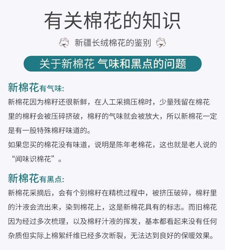 4b49a682-9a5f-4eef-8cdd-34ca0b7d1e6a.jpe