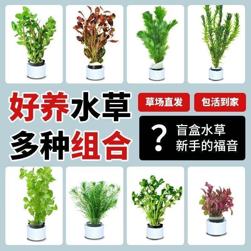 524044e3-bea9-4828-877b-bd50185d2933.jpe