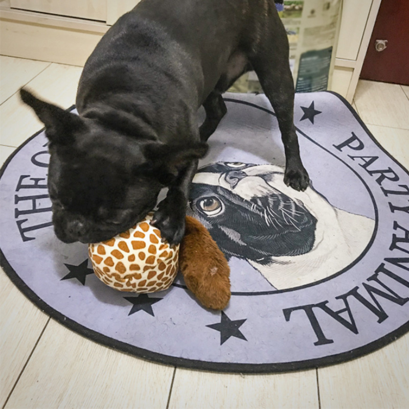 cat novelty pet toys