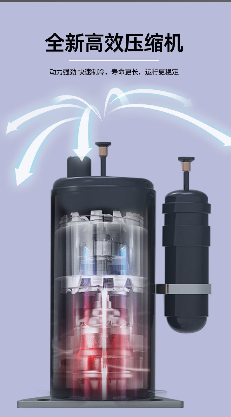 241bb24b-9d5b-41a6-bb3c-5f43ced5caf6.jpe