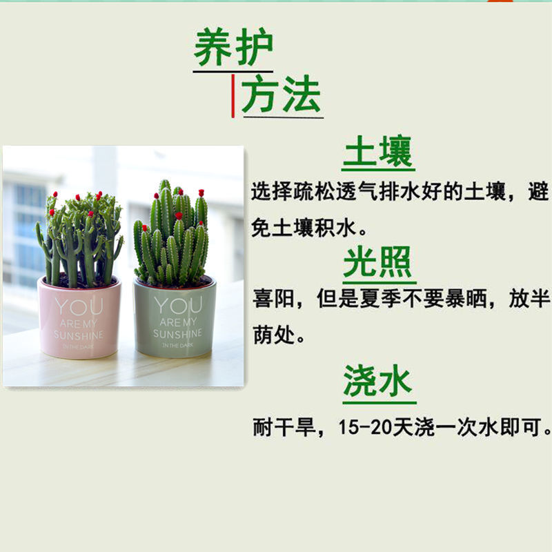 6dca5dc1-5b44-4646-baef-fd6cd40a5783.jpe