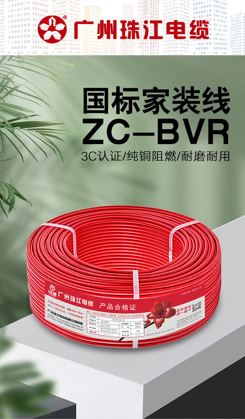 广州珠江BVR_01.jpg