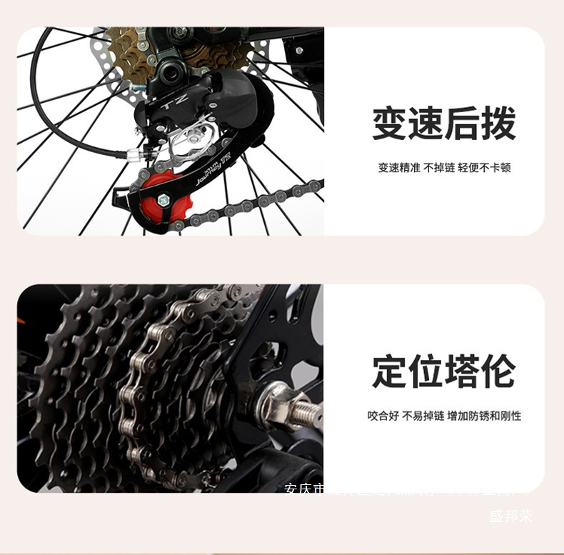 2048a538-4d07-4956-accd-4d23c9b00009.jpe