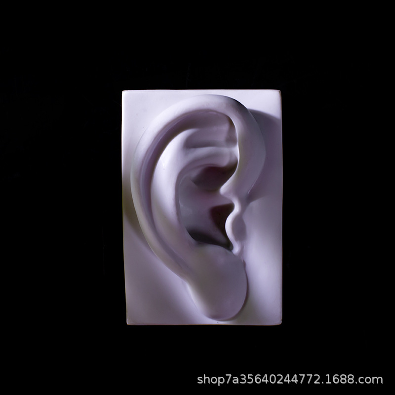 1R1A0477.jpg
