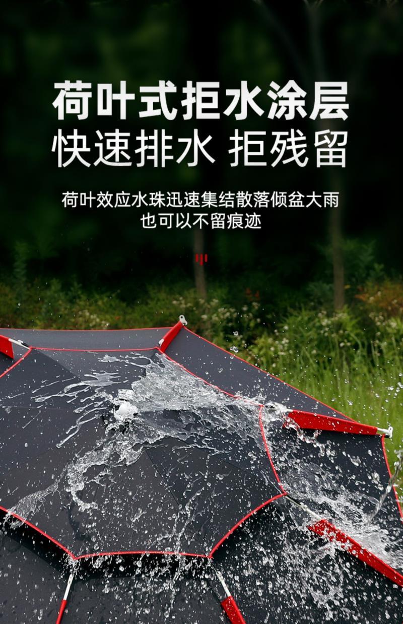 a9b4d3f5-94e3-47e6-8dda-f2070741c1a8.jpe