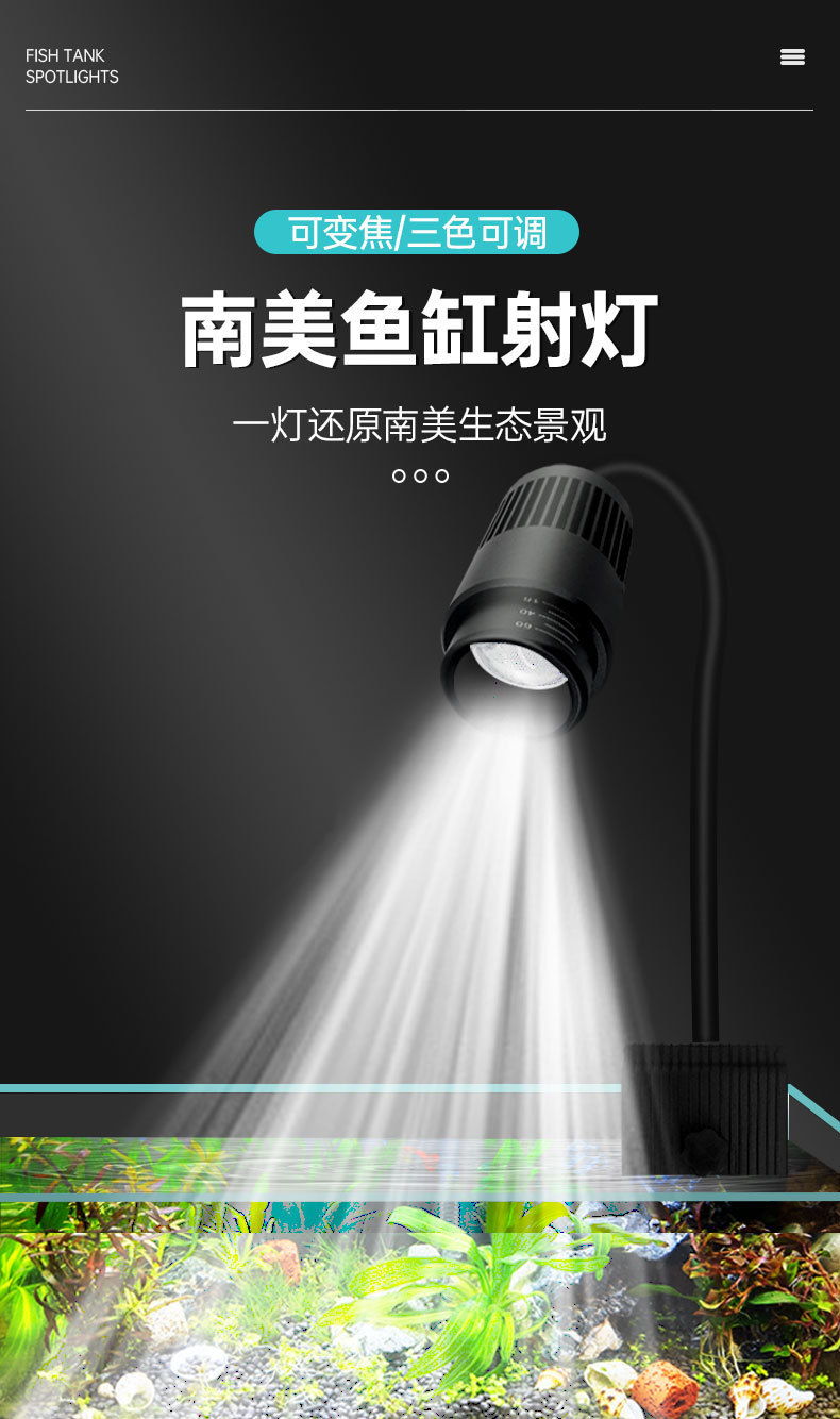 南美灯详情_01.jpg