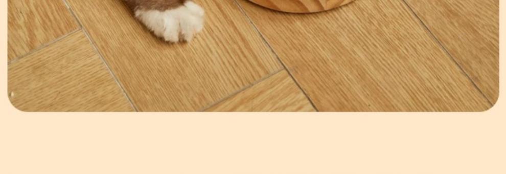 0364aaf1-e7ec-4366-975e-05853bae2103.jpe