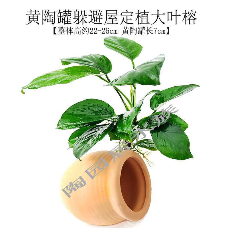 7b5c4031-1193-4eea-9951-ad5c613e1b62.jpe