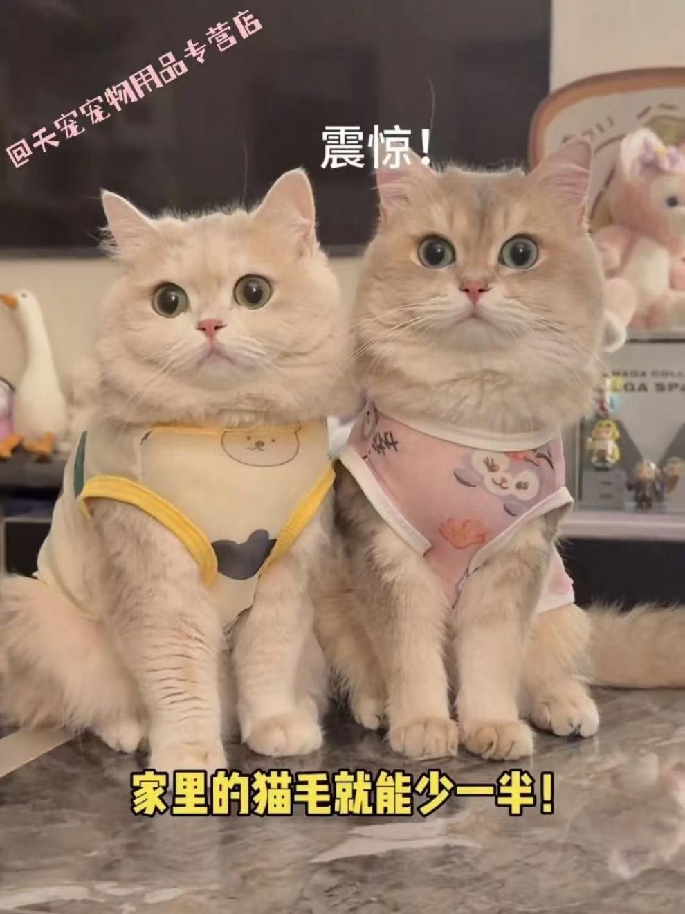 cbd6a8a7-8c5c-46ed-ad86-a924d8769322.jpe