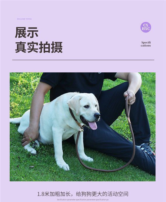 b2b8e74f-5083-497c-b757-d209b22397af.jpe