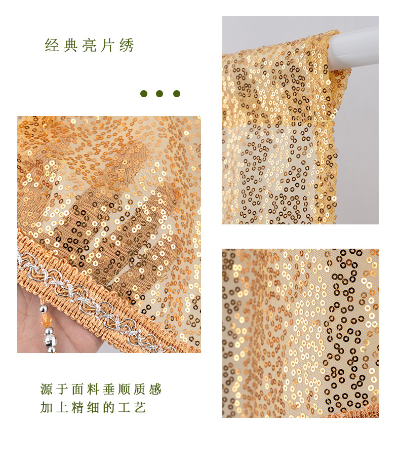亮片帷幔_16.jpg
