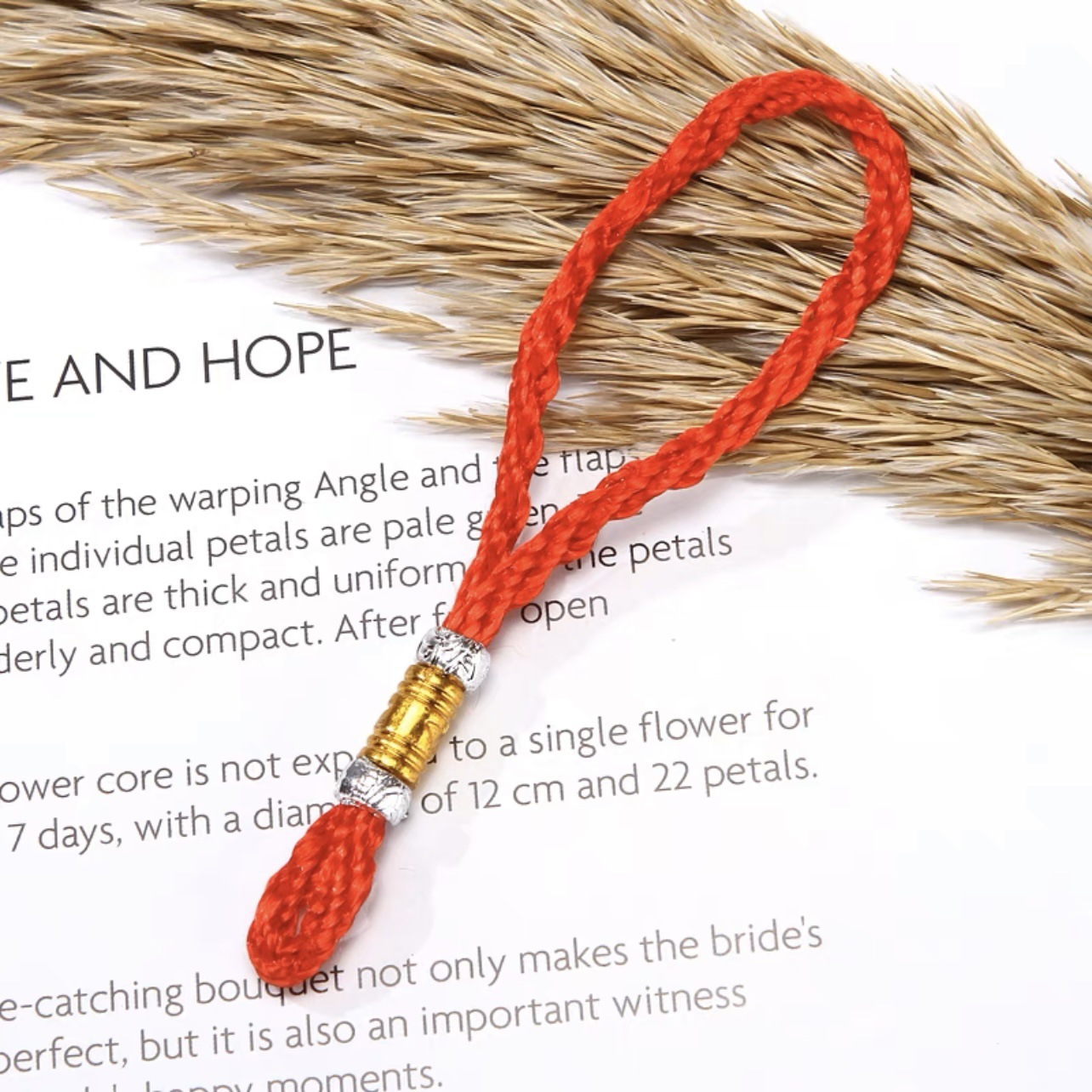 微信图片_20230520145908