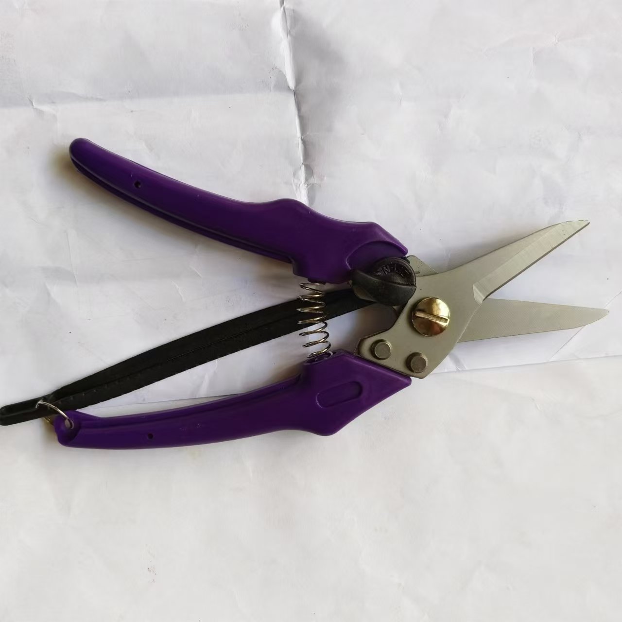 微信图片_20240809152600