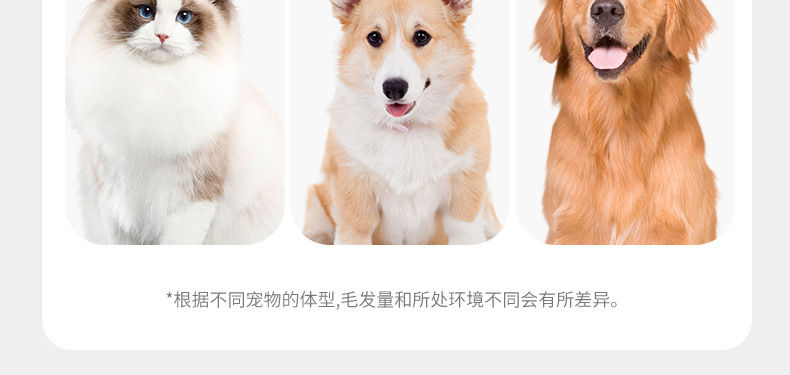 0a17d6fa-bea6-4052-a3c1-7f408c72a672.jpe