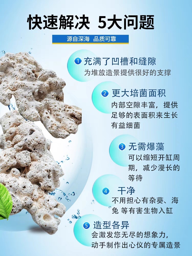 dbb7180b-6132-4986-9c54-40097fdc173e.jpe