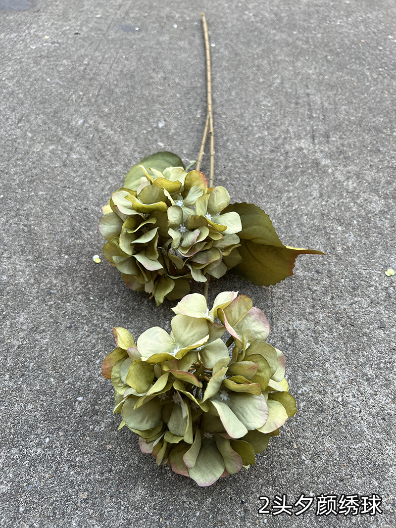 8. 2头夕颜绣球.jpg