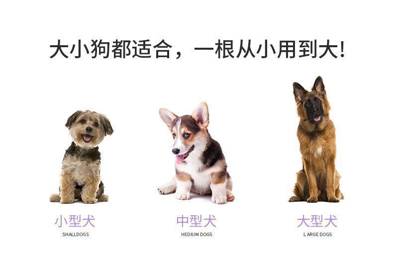 7edceafd-e2d7-4192-9ff6-0bf9e62e7d62.jpe